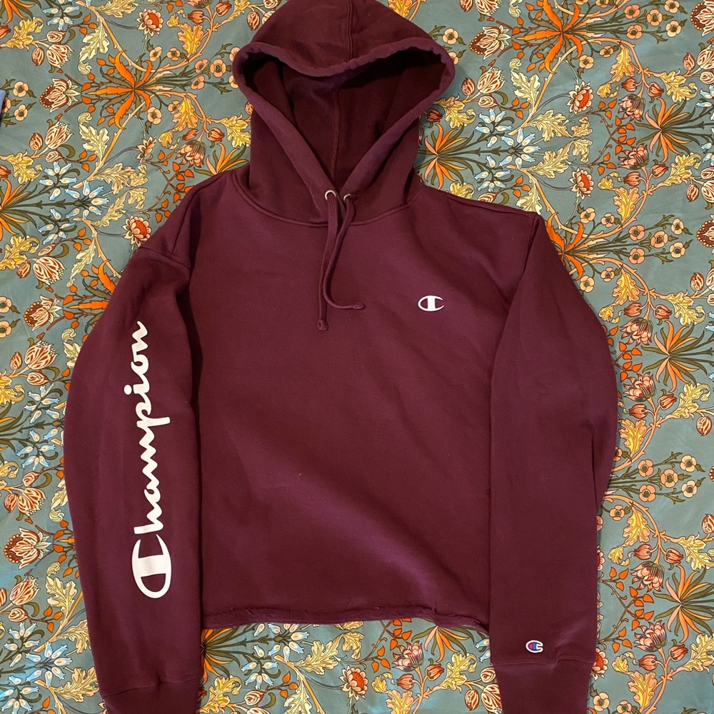 Cropped Champion Hoodie Sweatshirt